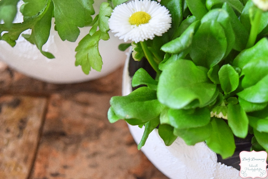 Dekoration aus Gips - selbstgemachte Vase für Blumen