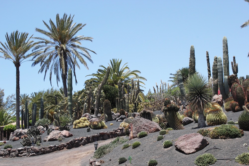 Botanischer Garten Fuerteventura