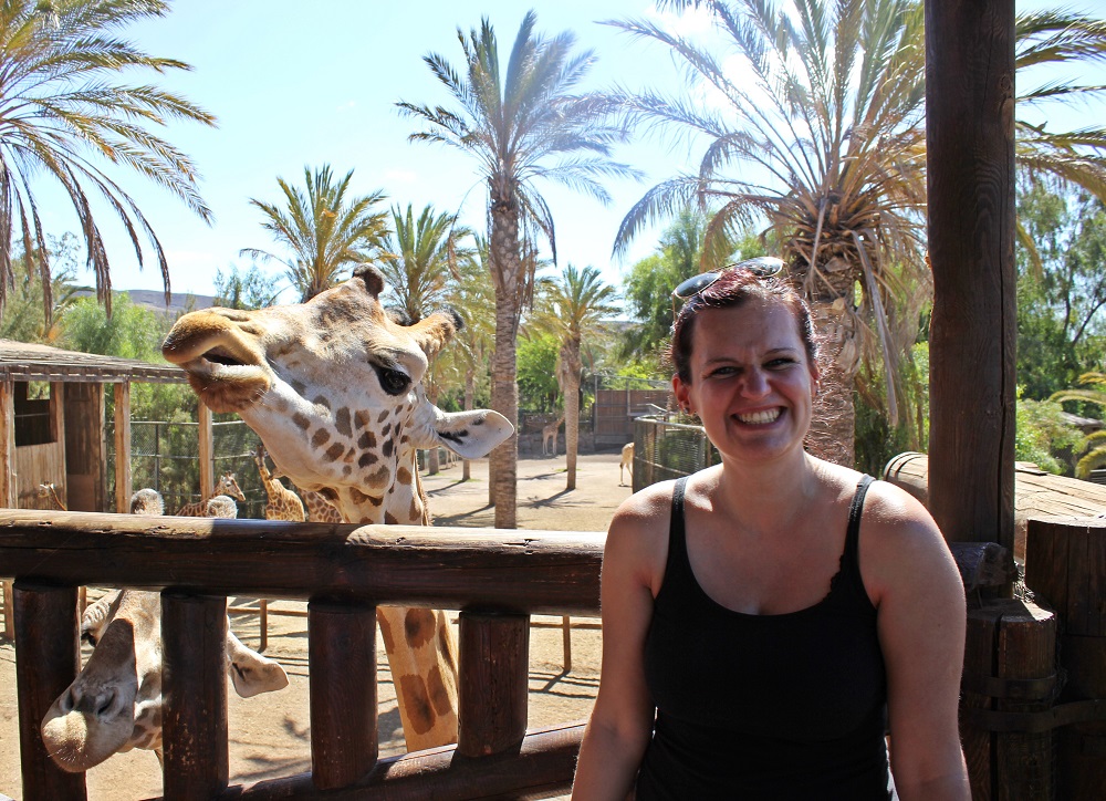 Wo befindet sich der Oasis Park auf Fuerteventura