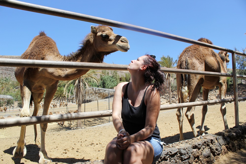 Tiere auf den Kanaren| Erlebnisse auf Fuerteventura