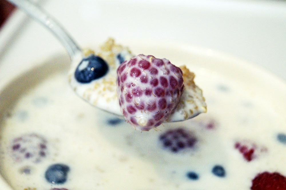Gastbeitrag: Quinoa-Müsli mit Heidelbeeren - The inspiring life