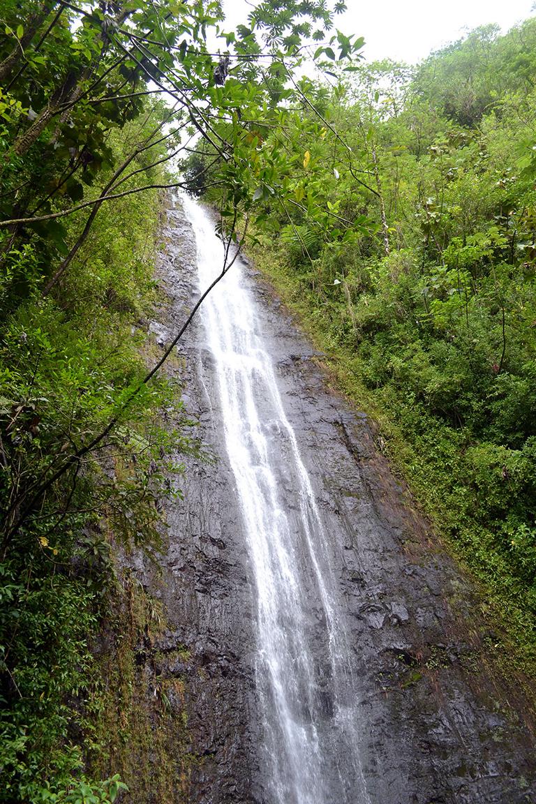 Manoa Falls Hawaii