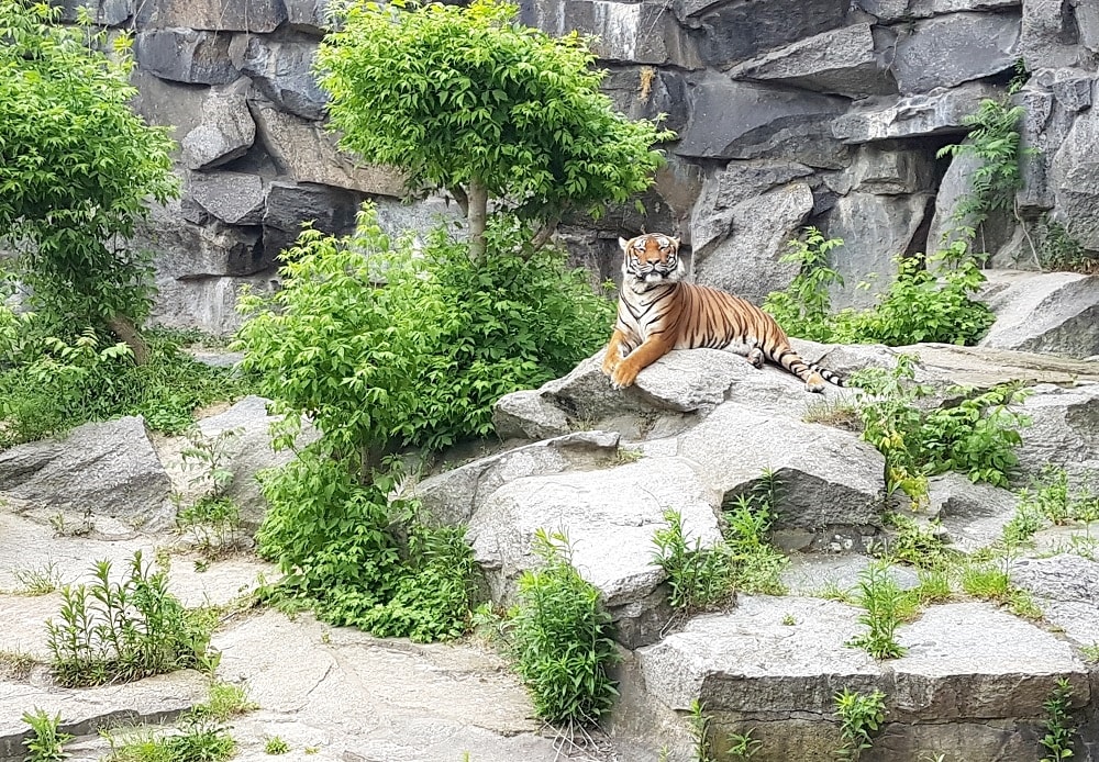 Tierpark Berlin