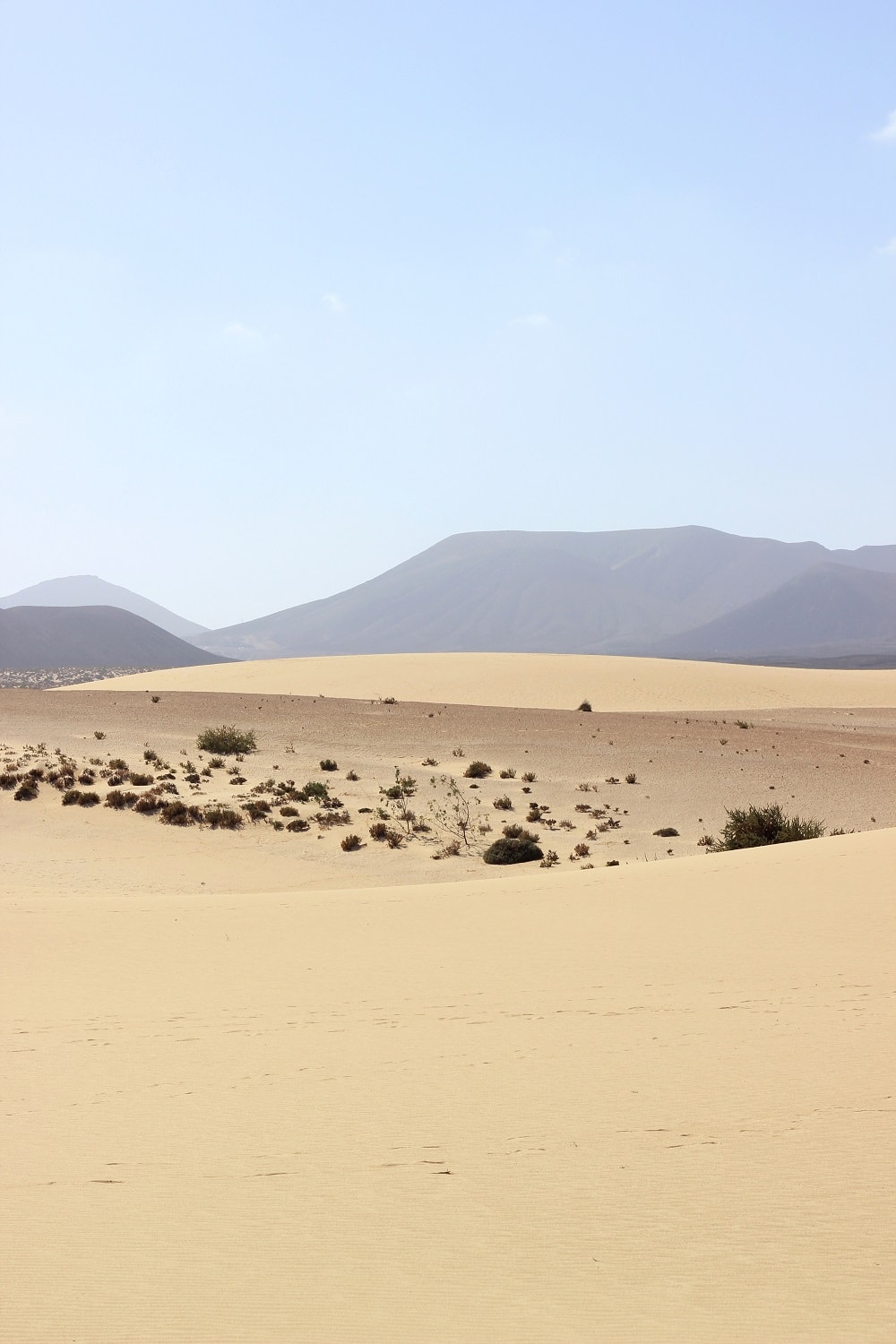 Corralejo Sanddünen Fuerteventura