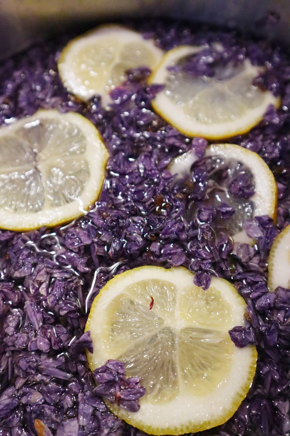 Fliedersirup selber machen - The inspiring life Fliedersirup selber machen - The inspiring life