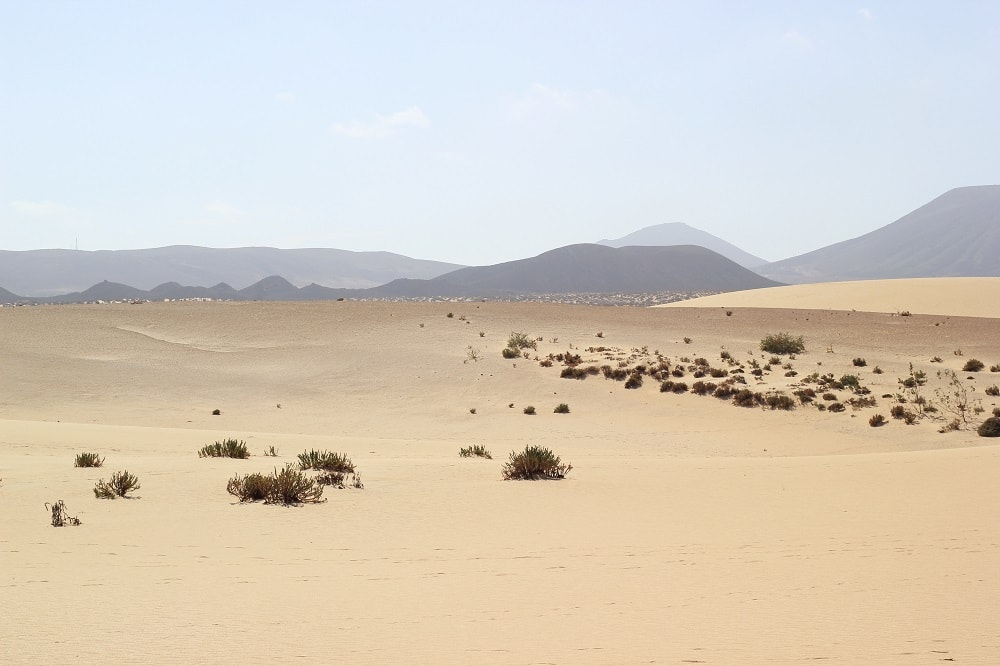 Dünengebiet des Nationalparks, Parque Natural de las Dunas