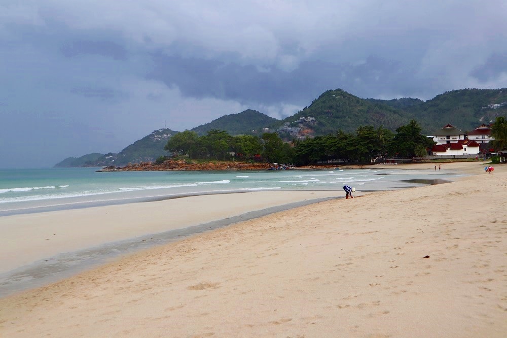 Koh Samui Zikavirus