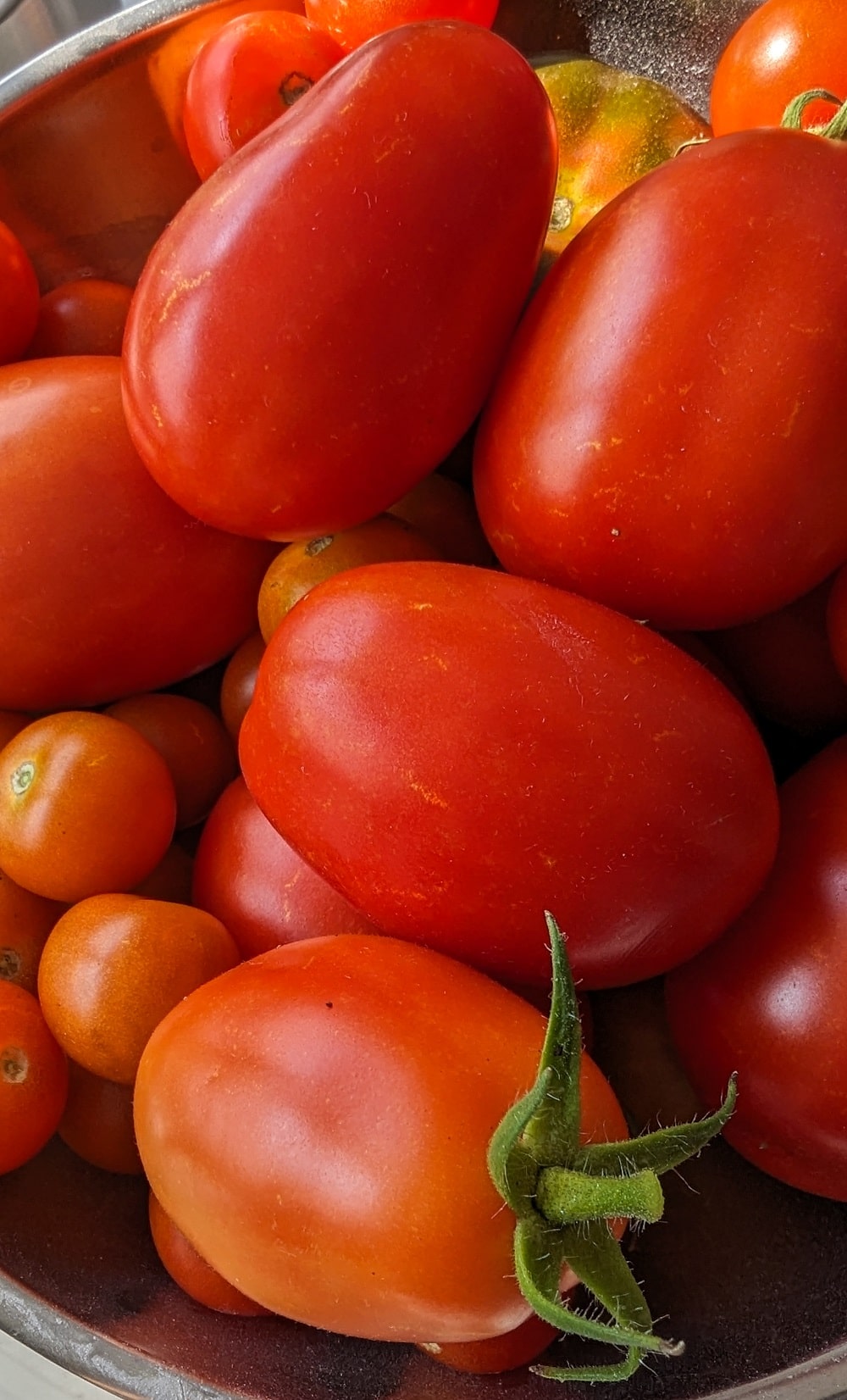 Tomaten verarbeiten