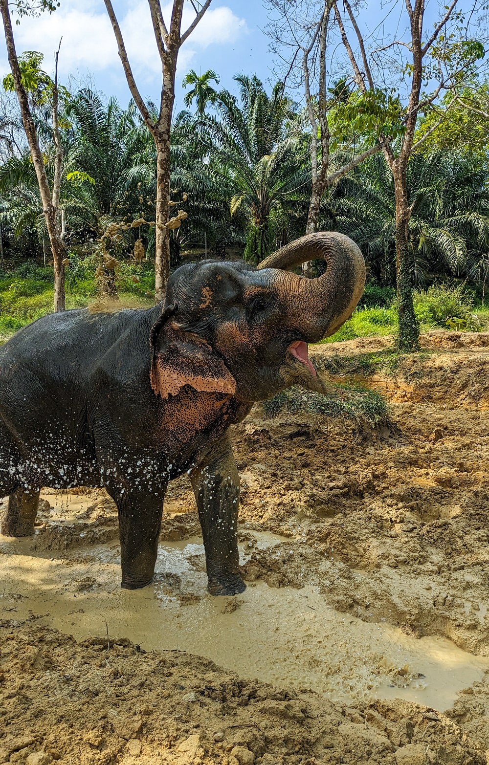 Khao Lak Elephant Sanctuary