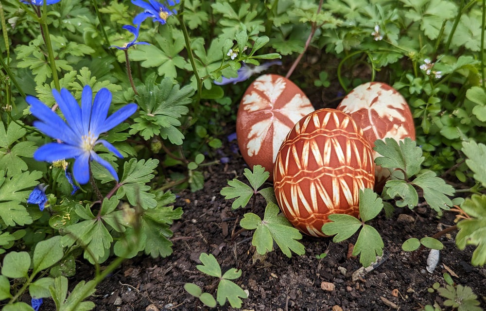 Eier mit Zwiebelschale färben