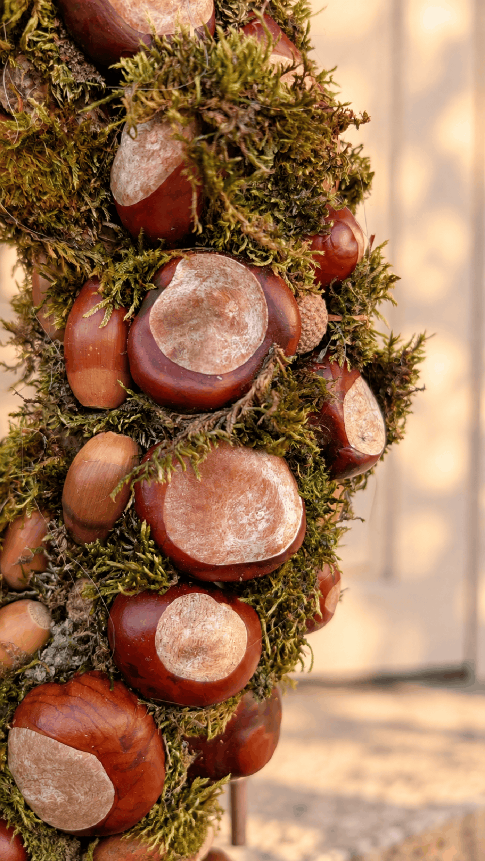 DIY Herbstkranz